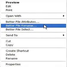 Key Features of Better File Rename