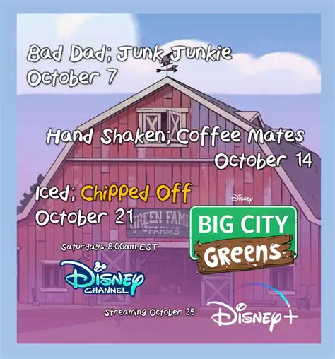 Key Features of Big City Buddy