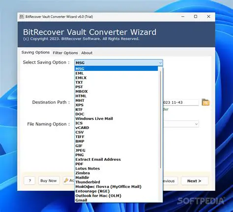 Key Features of BitRecover Netscape Viewer