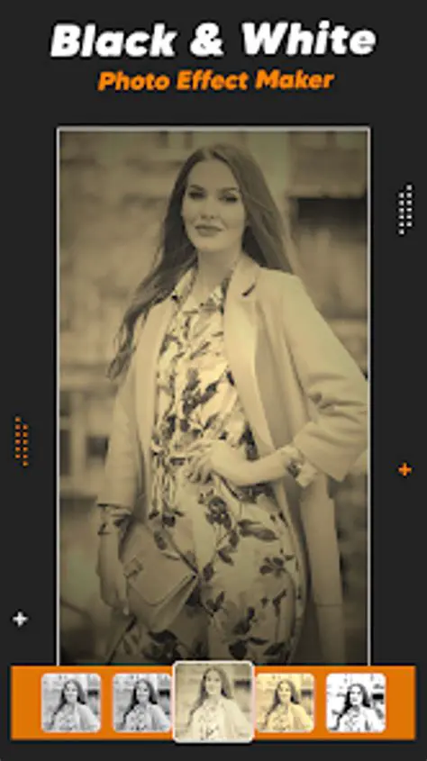 Key Features of Black And White Photo Maker