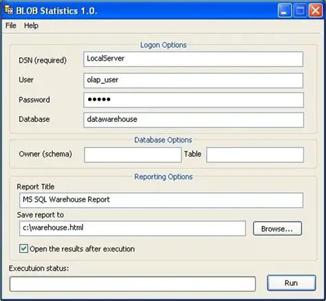 Key Features of BLOB Statistics