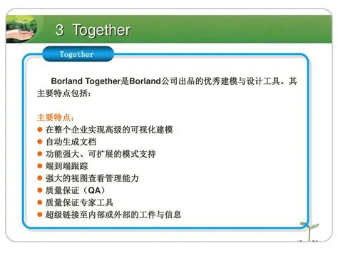 Key Features of Borland Together