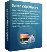 Key Features of Boxoft Screen Video Capture