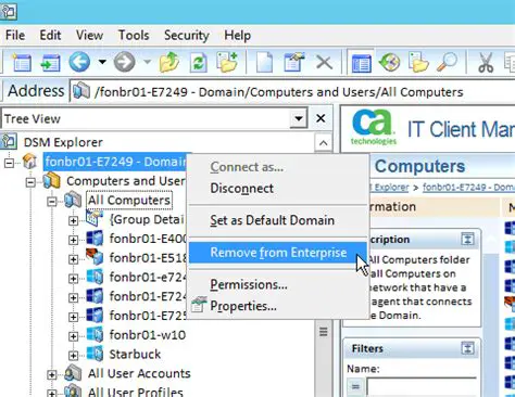 Key Features of CA DSM Explorer