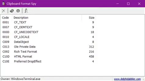 Key Features of Clipboard Format Spy