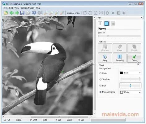 Key Features of Clipping Pilot