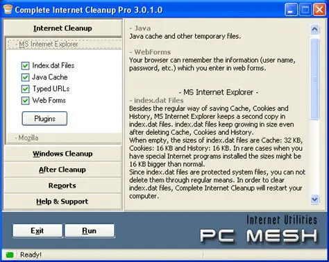 Key Features of Complete Internet Cleanup Lite
