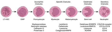 Key Features of Cyte Protector