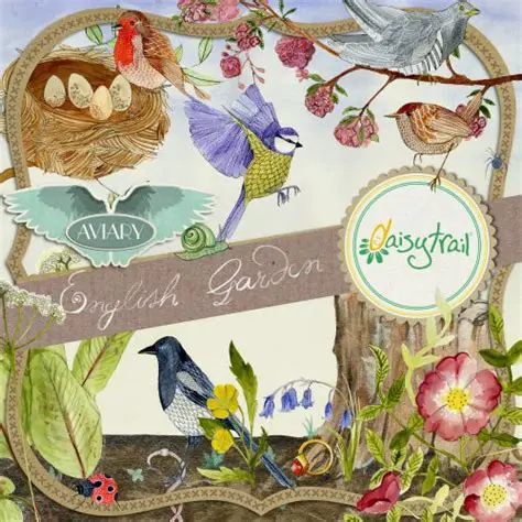 Key Features of DaisyTrail Water Garden Digikit