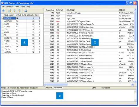 Key Features of DBF Doctor