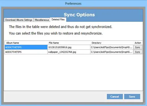 Key Features of Drop N Sync