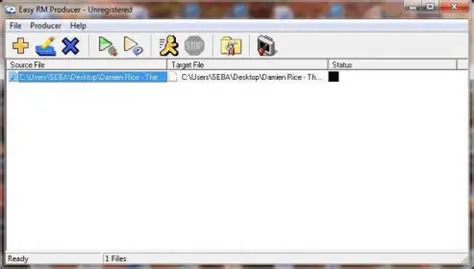Key Features of Easy RM Producer