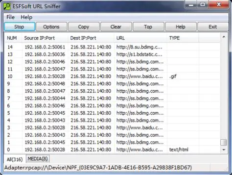 Key Features of ESFSoft URL Sniffer