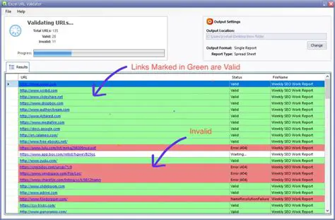Key Features of Excel Url Validator