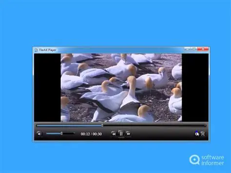 Key Features of FlashX Player