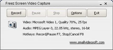 Key Features of Freez Screen Video Capture