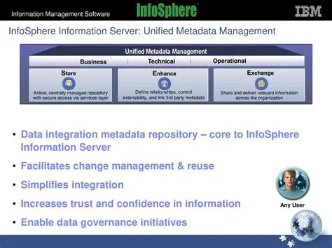 Key Features of IBM InfoSphere Information Server