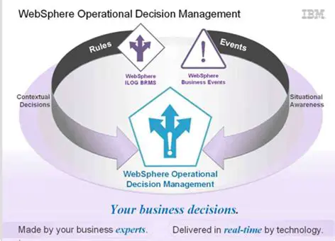 Key Features of IBM WebSphere ILOG Decision Validation Services