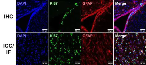 Key Features of IHC Control