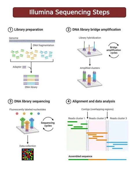 Key Features of Illumina VeraReport