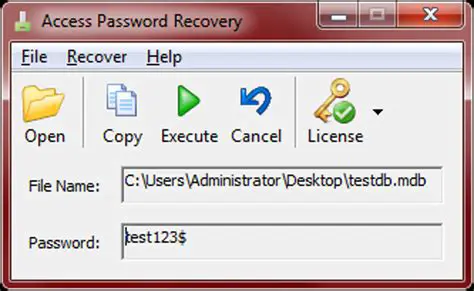 Key Features of InFixi Access Password Recovery