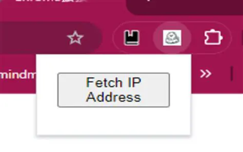 Key Features of IP Address Fetcher