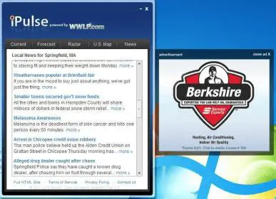 Key Features of iPulse Desktop Widget