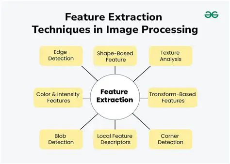 Key Features of JPK Image Processing