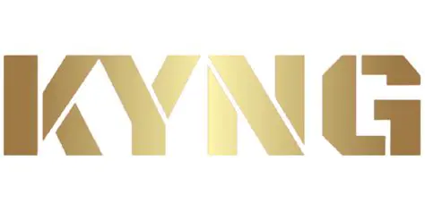 Key Features of KYNG Logo Generator