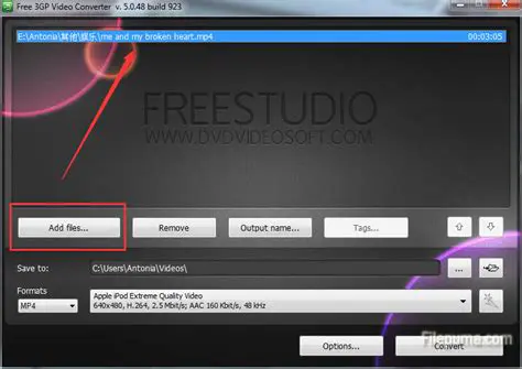 Key Features of McFunSoft 3GP Video Converter