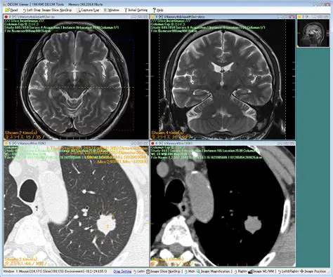 Key Features of MEDISP Lab DICOM Viewer