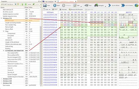 Key Features of MFT Hex Chomper