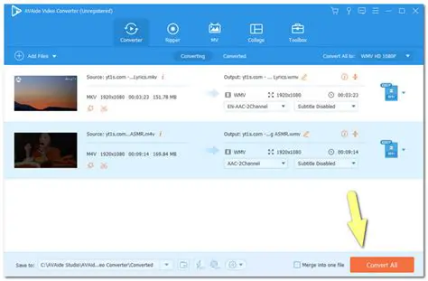 Key Features of MKV To WMV Converter