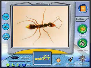 Key Features of Motic Play