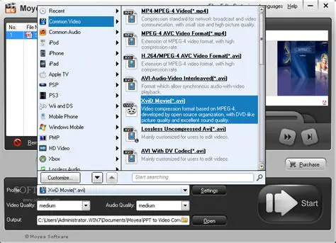 Key Features of Moyea Flash to Video Converter