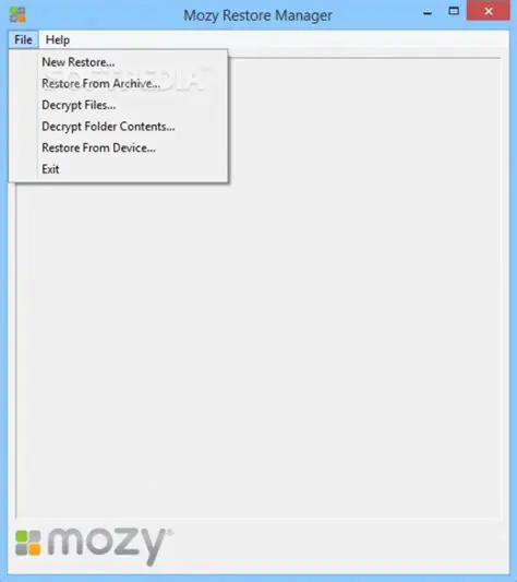 Key Features of Mozy Restore Manager