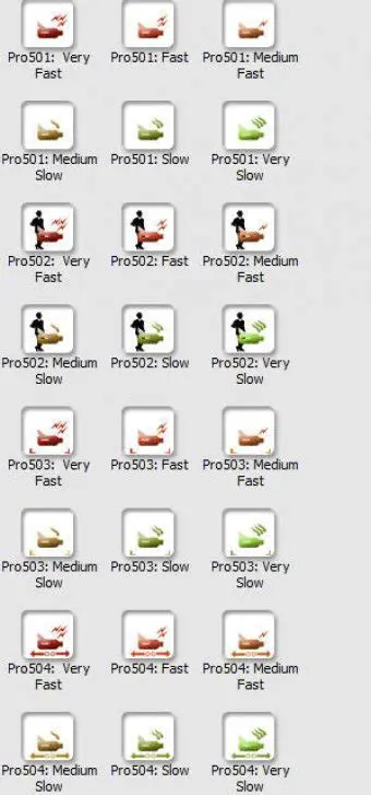 Key Features of muvee Style Pack Runtime