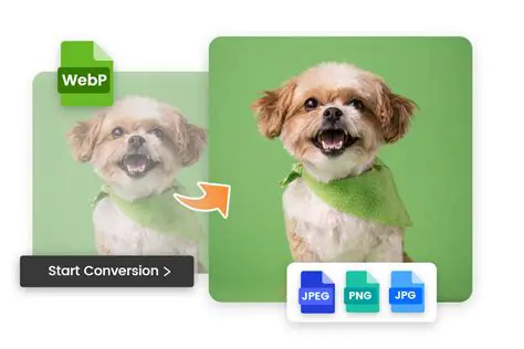 Key Features of Okdo Excel to Jpeg Converter
