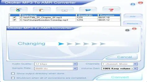 Key Features of Okoker MP3 to AMR Converter