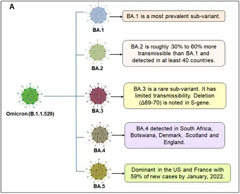 Key Features of OMICRON TestBase