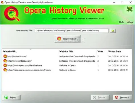 Key Features of Opera History Viewer