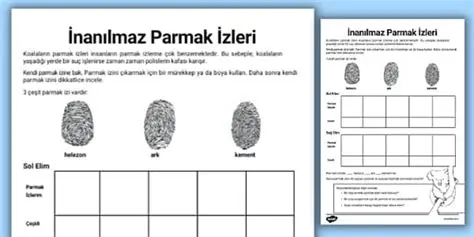 Key Features of Parmakizi Bilgi Aktar