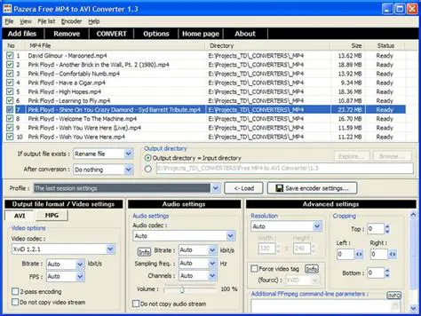 Key Features of Pazera Free MP4 to AVI Converter
