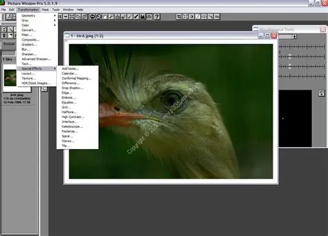 Key Features of Picture Window Pro