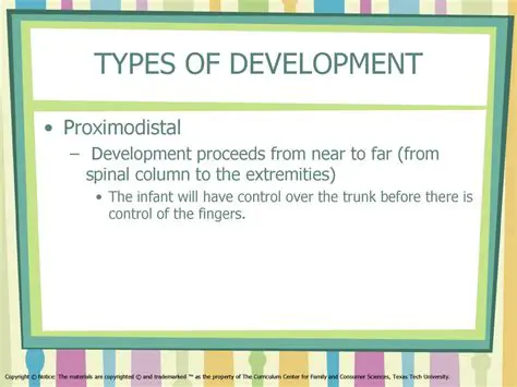 Key Features of Proximodistal Development