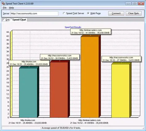 Key Features of RaccoonWorks SpeedTest