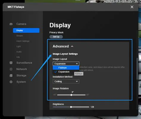 Key Features of Reolink Client