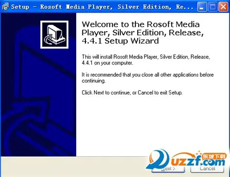 Key Features of Rosoft Media Player