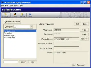 Key Features of SafeNSecure Password Manager