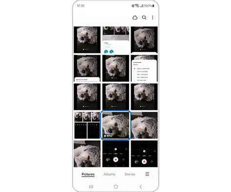 Key Features of Samsung Editor